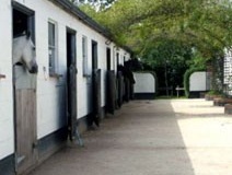 checkendonequestrian_1