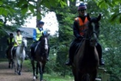checkendonequestrian_21