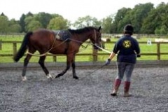 checkendonequestrian_26