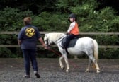 checkendonequestrian_4