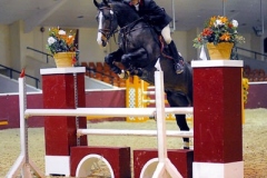 cobhammanorequestrian_l3