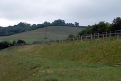 cobhammanorequestrian_l4