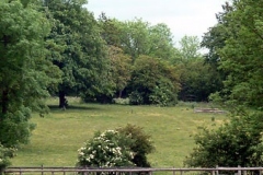 cobhammanorequestrian_l9