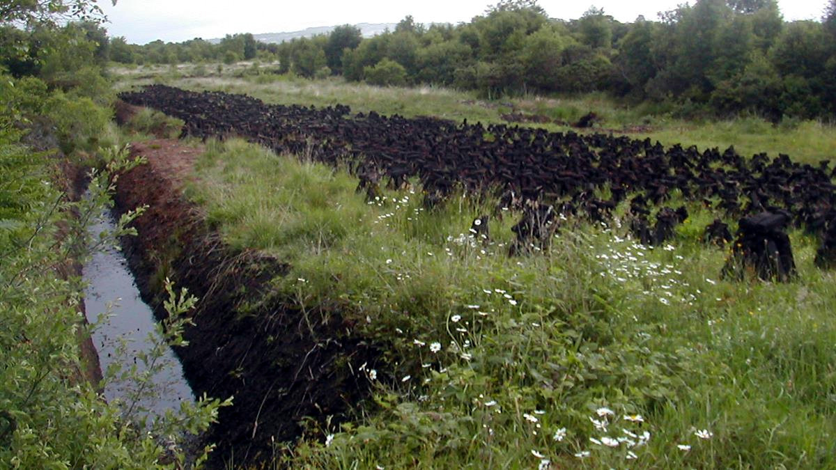 peat-trench