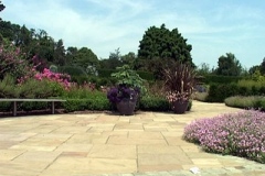 garden0644i1