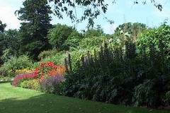 garden0644i4