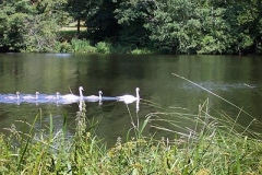 lake0644i1